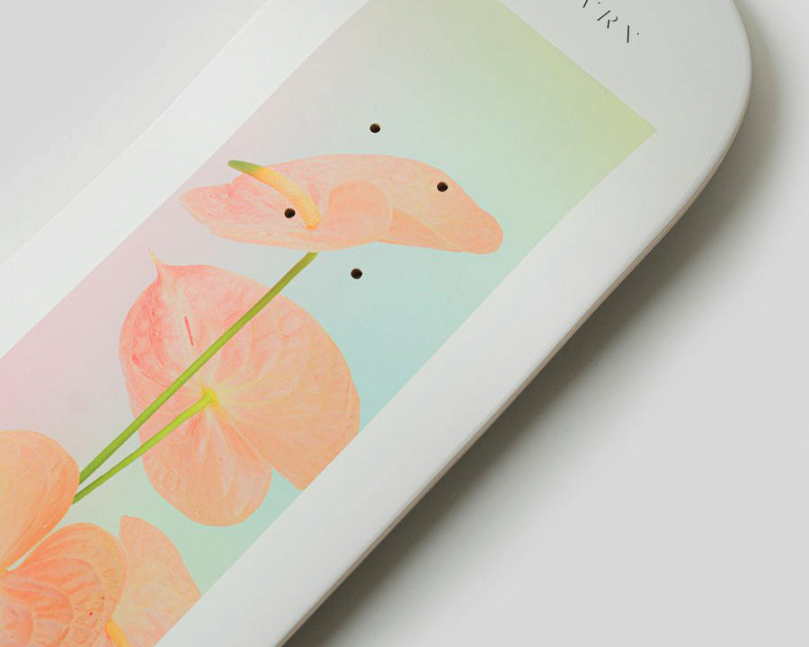 Content for DUKE Premium Shopify theme by Clean Canvas