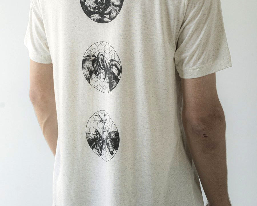 Content for DUKE Premium Shopify theme by Clean Canvas