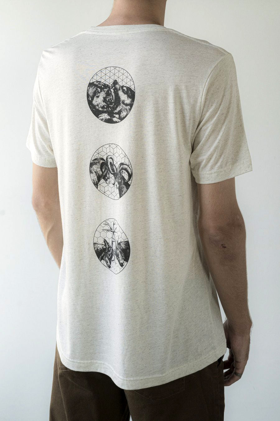 Content for DUKE Premium Shopify theme by Clean Canvas